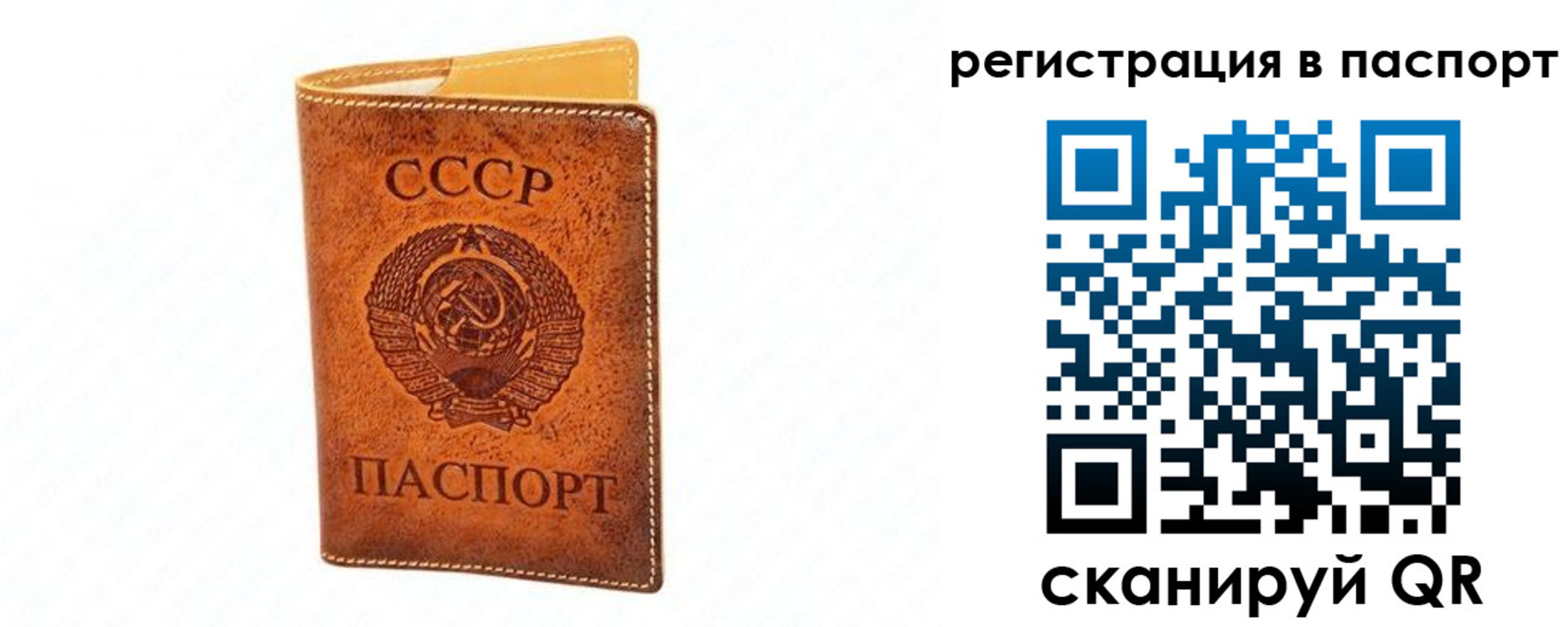 прописка для работы в Николаевске-на-Амуре
